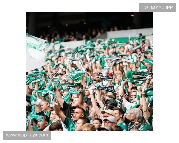 德甲俱乐部开放日吸引万名球迷，虚拟签名成亮点