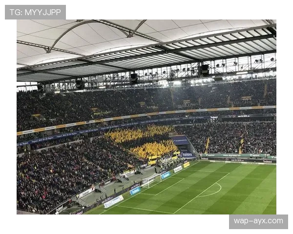 多特蒙德南看台球迷组织发起“反对比赛日票价上涨”的静默抗议 多特蒙德南看台球迷组织发起“反对比赛日票价上涨”的静默抗议